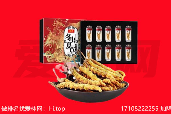 阜阳颍上县回收虫草.jpg